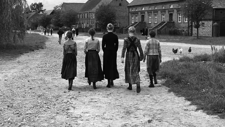 THE WHITE RIBBON
